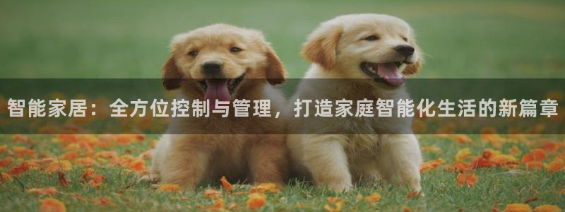云顶app官网
