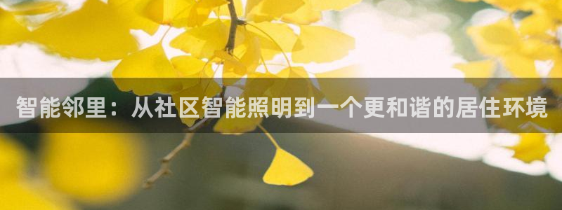 云顶集团有限公司,林东简历