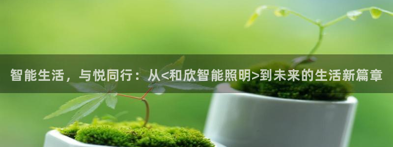 云顶集团林志华简介