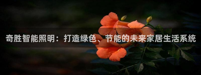 云顶国际app官网