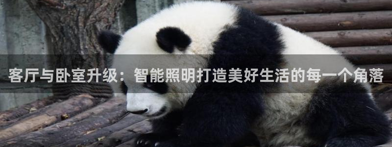 云顶国际服s9什么时候更新的