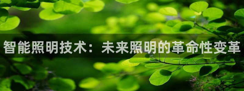 云顶集团GM