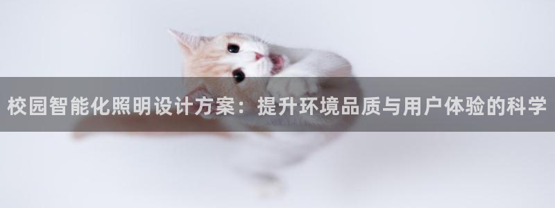 云顶yy
