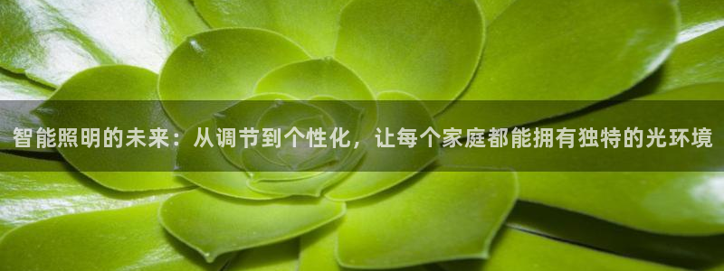 云顶国际提现不到账