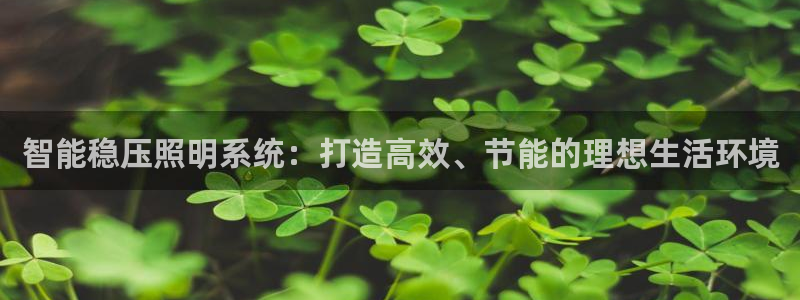 云顶集团官网电话客服