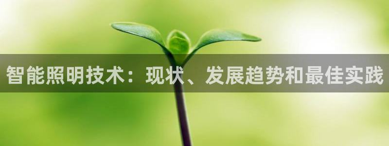 云顶国际投资有限公司招聘