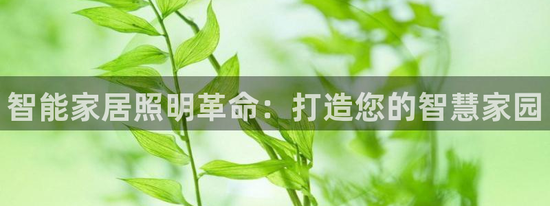 云顶电子游戏网站登录：智能家居照明革命：
