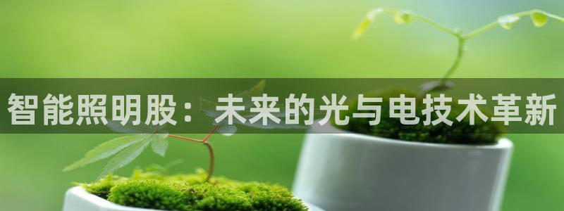 2418云顶