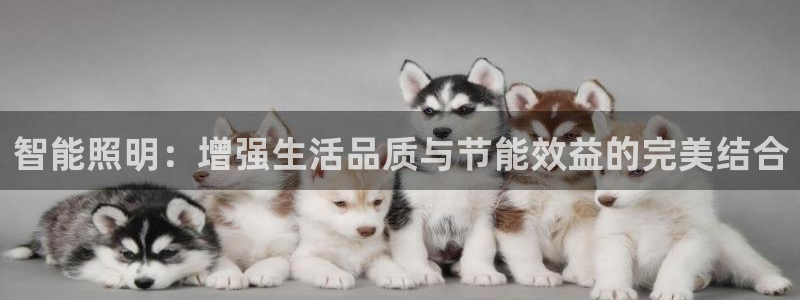 云顶集团是哪个国家的