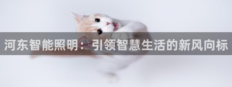 云顶国际林梧桐