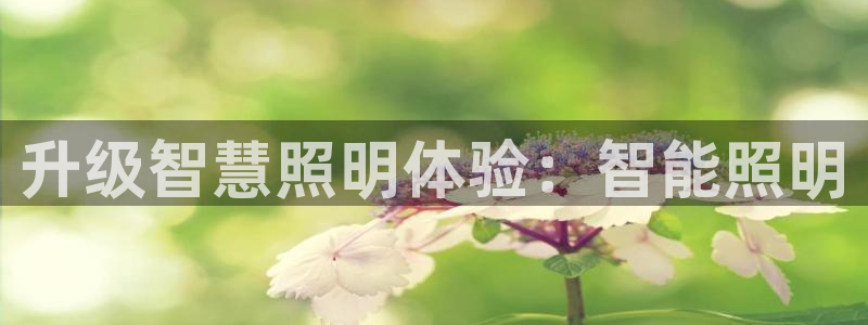 云顶集团简介和历史