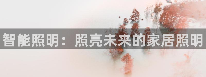 云顶集团网站安全吗：智能照明：照亮未来的