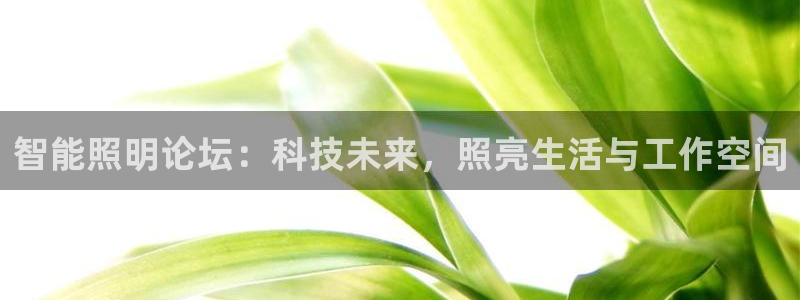 云顶国际电话号码查询