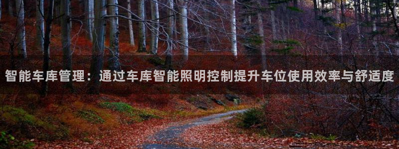 云顶集团app免费下载苹果：智能车库管理