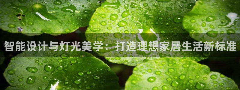 云顶国际大厦在什么地方