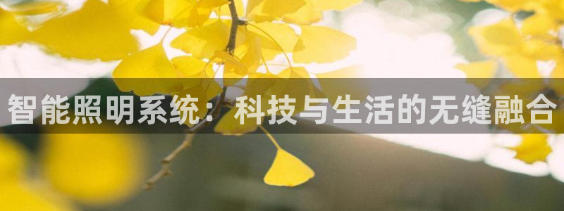 云顶集团王天才简介